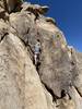Isreal climbing 'A Hero's Journey' alternate finish to 'The Smelly Chipmunk'