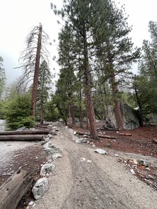 View of the trail heading toward the Ament Arete boulders with the classic Kor boulder seen on the right. Continue up this way another 60 meters to reach the junction of the Valley Loop and Yosemite Falls trails.