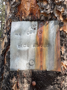 You pass the "Tick Feaver" claim on the approach. Not sure if they misspelled it due to Lyme Disease.