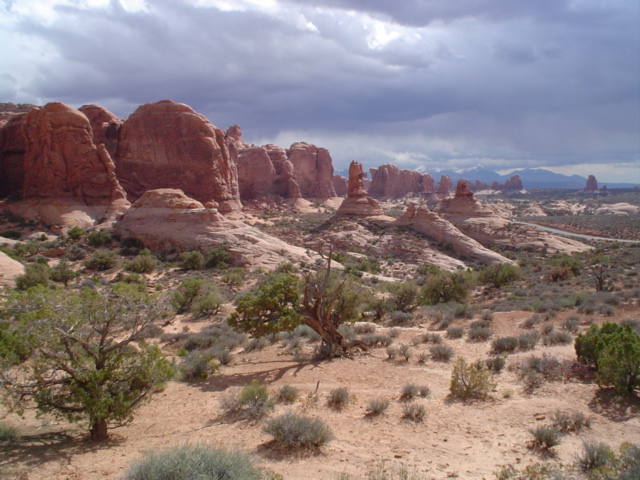 The center tower in this photo.  You can see the road to the Windows area on the right.