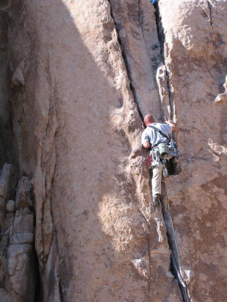 Scott Flagg leads Mr. Misty Kiss.  Photo: Mike Morley