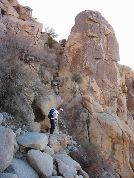 A man and his crag.