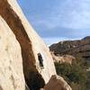 Al Swanson setting up to make the balancy high-step to the 2nd bolt of Abstract Roller Disco (5.11a), Joshua Tree NP