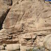 Cooter starts in the obvious shadowed chimney on the left side of the photo. The third pitch takes the buttress on the high left.