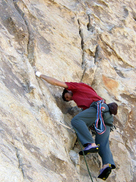 first trad lead at JTree