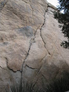 The line in all it's glory.