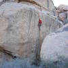 Josh Higgins leads Boortemus (5.10d), Indian Cove. 