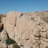 The Wall (Right Side) with a climber on Chalk Up Another One (5.10a), Joshua Tree NP