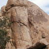 Jam or Slam Rock (southwest face), Joshua Tree NP