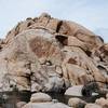 Rat Rock, Joshua Tree NP