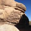 Sandy Wash Corridor, Joshua Tree NP 