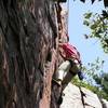 Jan Brown near the top of Sometime Crack.