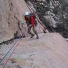 Rapping the second pitch of Power Failure on the descent from Ginger Cracks.