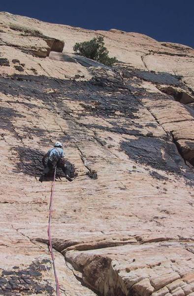 Pitch 1, Solar Slab.  The crack you are aiming for is the one on the right leading to the tree.