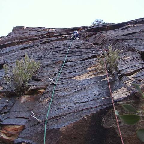 Magnificent  varnish on the Drat Crack