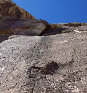 Looking up at the balls.