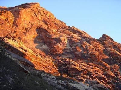 Looking up at Black Orpheus