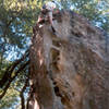 The last move of Donkey Dong.  Perhaps my greatest sport climbing feat to date.