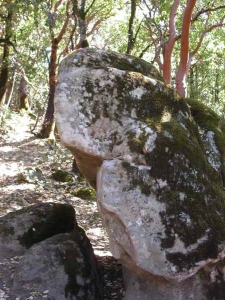 Climb up the left side of this rock, which is about 15 feet downhill from mid-muffin.