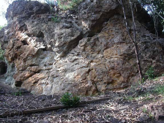 Standing in poison oak below, this is the main climbing face of the west boulder.