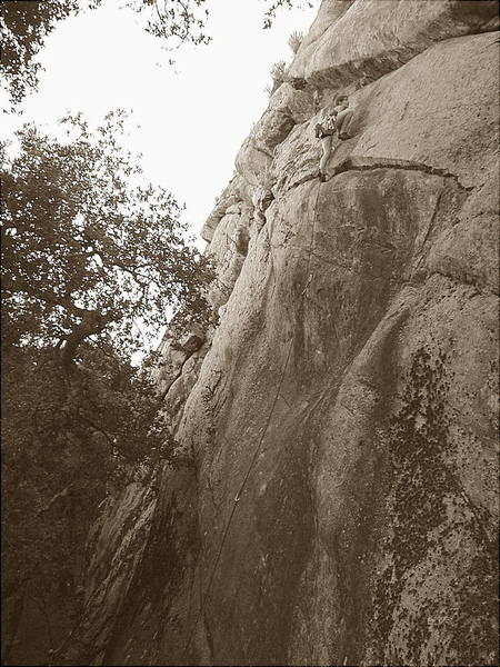 Zerita approaching the roof on Lama