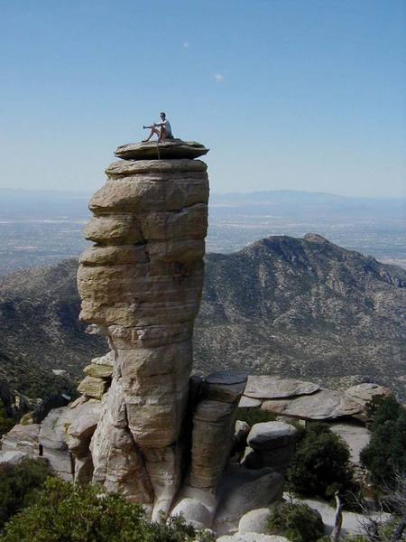 Tom looking smug on top of Hitchcock.