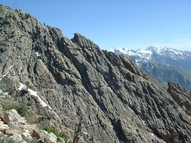 The summit ridge leading up to Mount Olympus.  A rewarding view if you choose to go this way.  I think this is Geurt's Ridge?