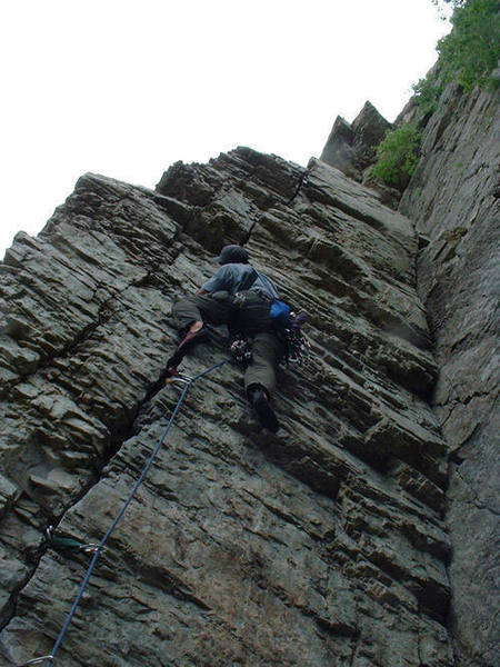 Climbing Creme de Shorts.