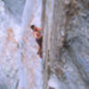 Louis scratching for luck on Fat Lip.  Photo by Stefan Husen.